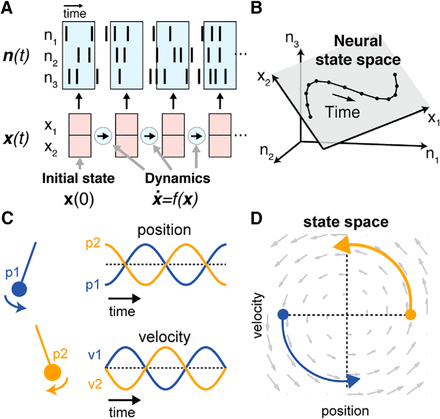 Illustration of dynamics