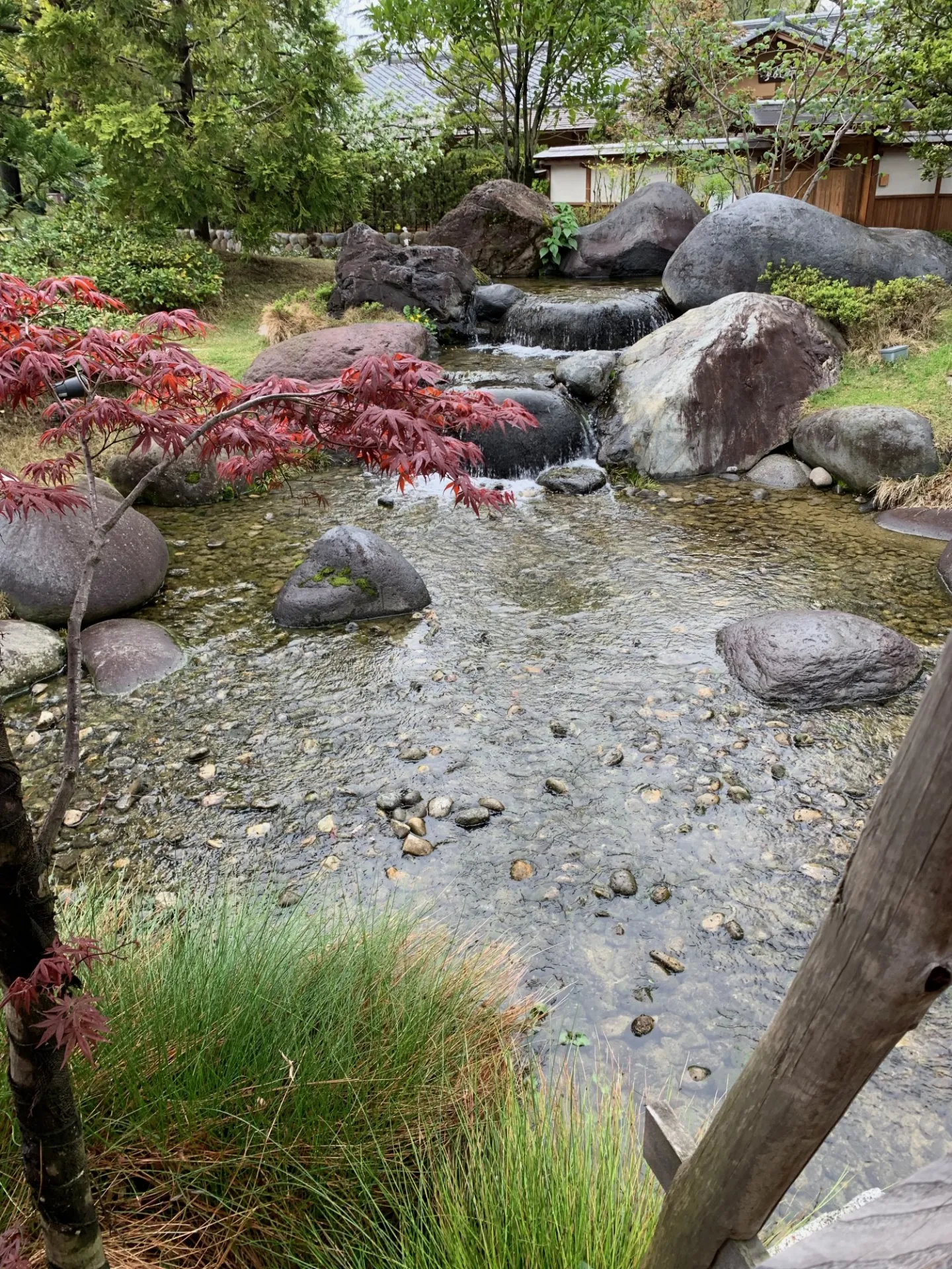 Japanese Garden