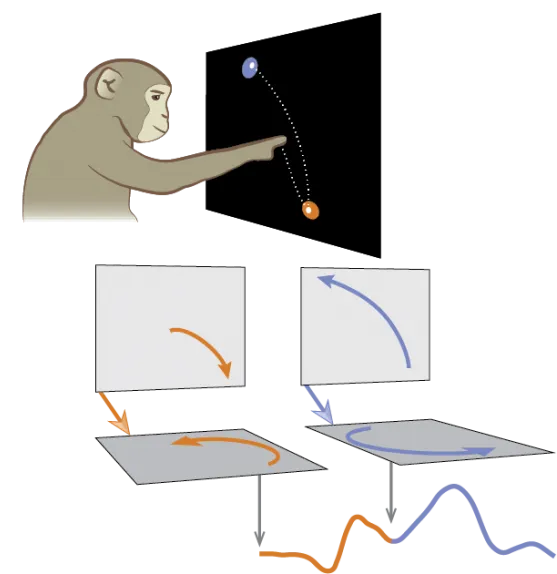 Illustration of the independent strategy