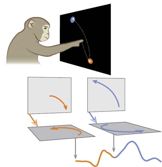 Illustration of the independent strategy