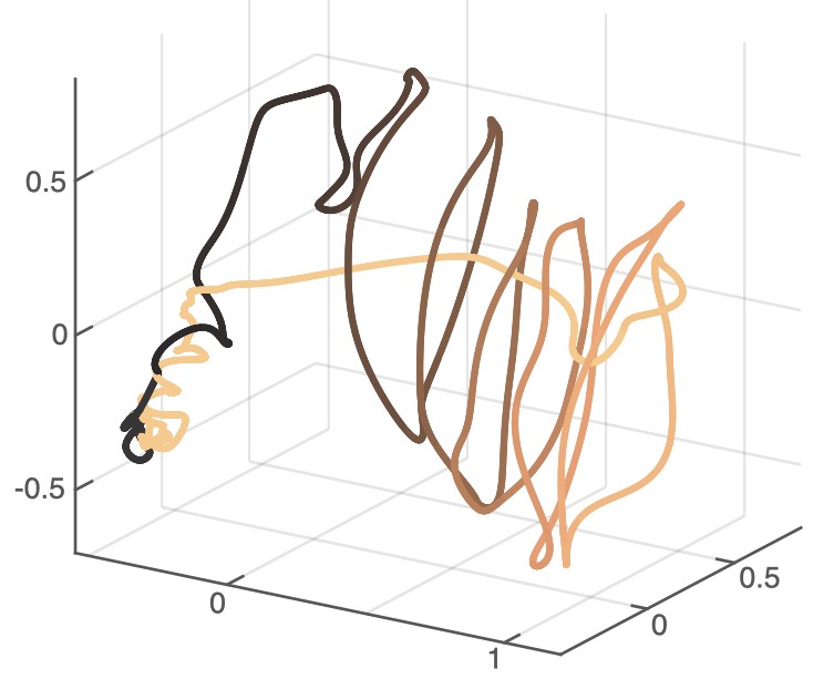 SMA population trajectory