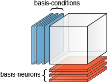 Different bases for a population response